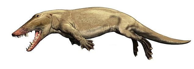 47 milyon yıl önce ise günümüzün Afrika cüce geyiğine benzeyen bir tür ortaya çıktı. Bu toynaklı tür, tehlike sezdiğinde ya da yiyecek bulması gerektiğinde suya girebiliyordu.