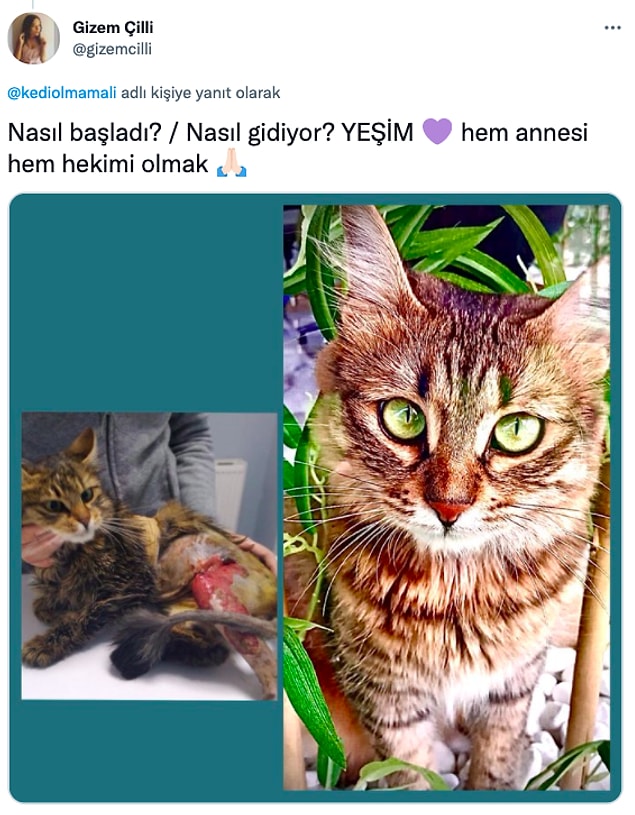 4. Tabii sizin de onlara...😍