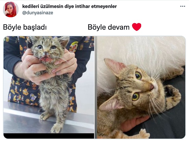 16. 👇