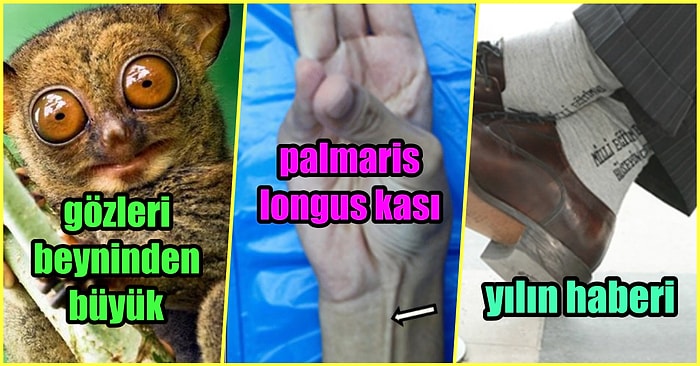 Engin Bilgiler Işığında Daima Aydınlanmak İsteyenlerin Hayatlarına Işık Tutacak 19 Tweet