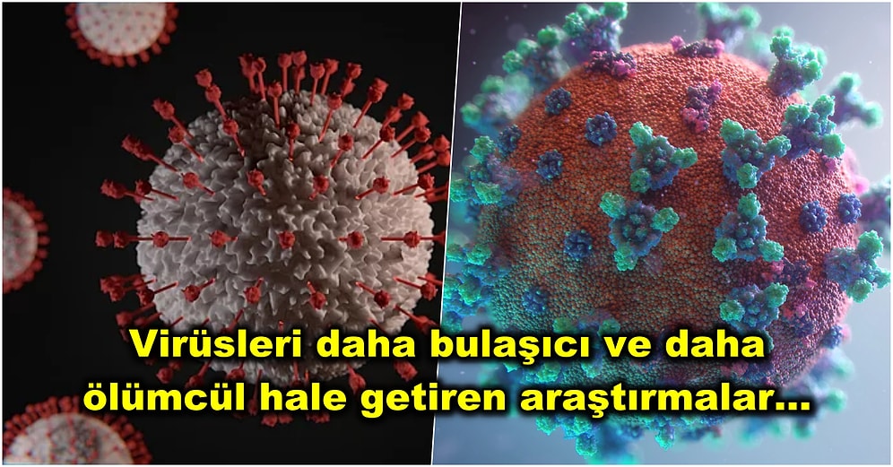 ABD'nin Çin'deki Koranavirüs Çalışmalarına Fon Verdiği İddiaları Gündemde
