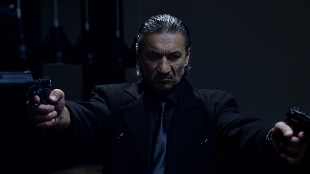 9. Panzehir (2014)