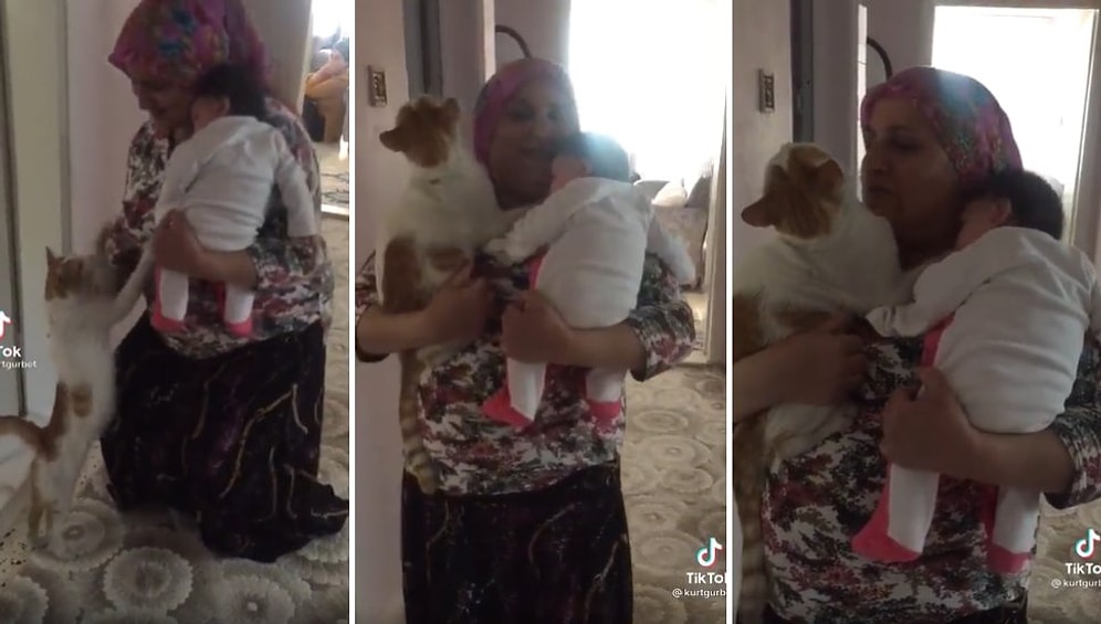 Bir Eline Torununu Diğer Eline de Evin Kedisini Alan Kadını İzlerken Gözlerinizden Kalpler Fışkıracak