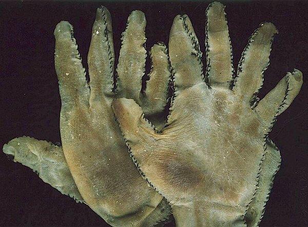 22. Ed Gein'in insan derisi eldivenleri.