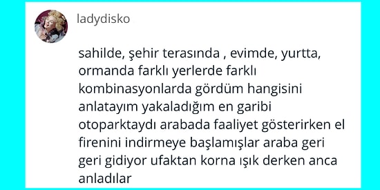 İnsanları Yakaladıkları En Uygunsuz Durumları Anlatan Kişilerin Hepimizi Kahkahalara Boğan Anıları