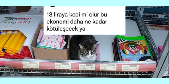 13 Liralık Kediden Sınıfa Çay Fırlatan Sınıf Başkanına Twitter'da Son 24 Saatin Viral Tweetleri