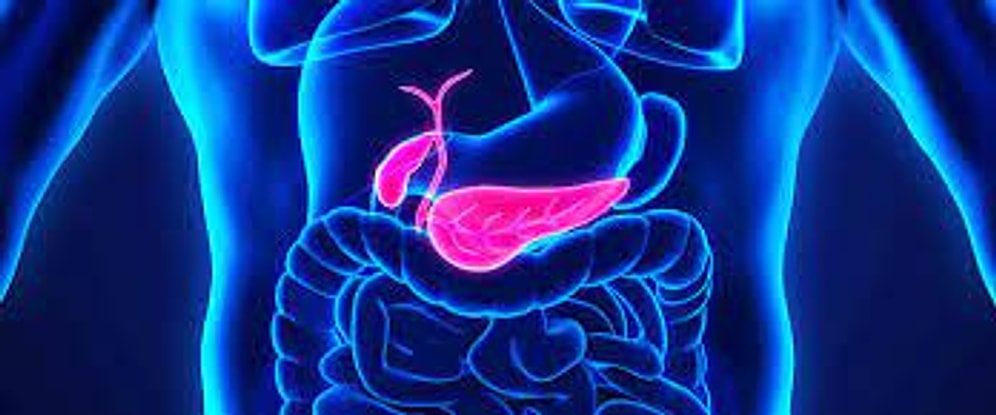 Safra Kesesi İçin Hangi Bölüme/Doktora Gidilir?