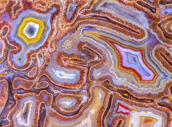 7. Агатизированная кость динозавра, 5-кратное увеличение объектива