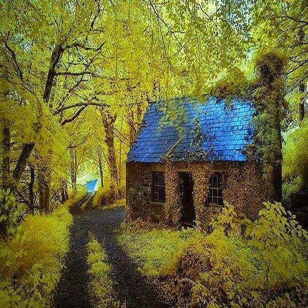 6. Stradbally, İrlanda'daki muhteşem bir ormanın ortasında yer alan ürkütücü kulübe.