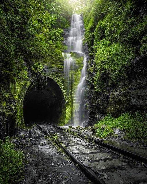 24. Eski Helensburgh demiryolu tüneli.