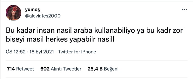13.