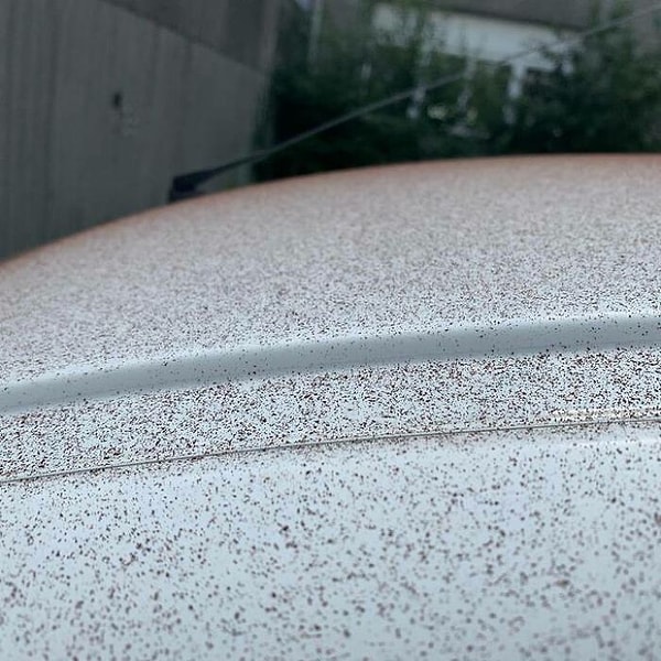 4. 14 августа 2020 года: шоколадный снег падает на город в Швейцарии из-за заводского дефекта