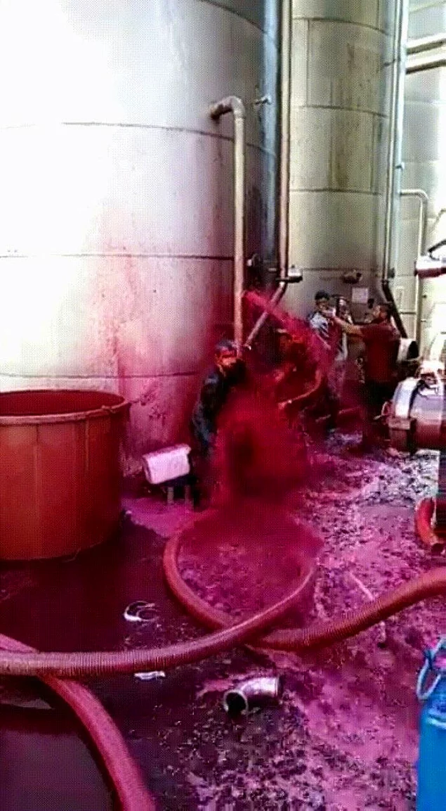 Цистерна красного вина разрушилась на сицилийском винодельне