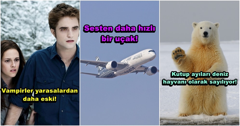 Bilmemek Değil Öğrenmemek Ayıptır Diyenler İçin Daha Önce Duymadığınız 30 İlginç Bilgi