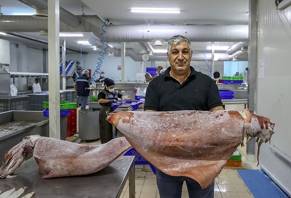 "Ben 35 yıllık meslek hayatımda bu türü ilk defa görüyorum"