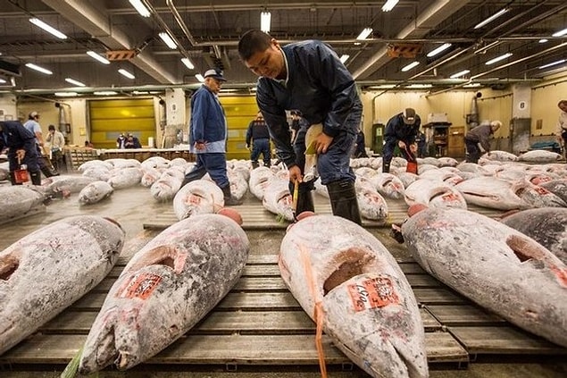 11. Tokyo'daki Tsukuji Balık Pazarı
