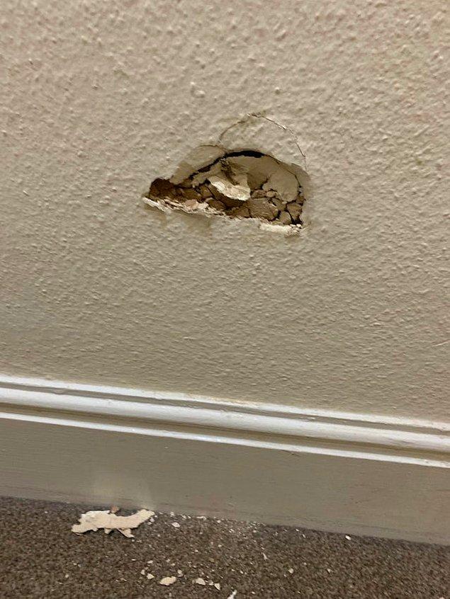 11. "Kız arkadaşım duvardaki örümceğe tekme attı."