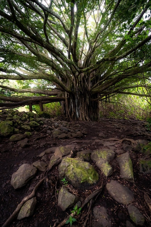 13. Hawaii - Maui Adası:
