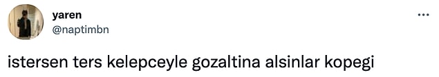 11. Sanırım gerçekten bunu istiyor...