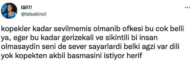 14. 'Köpekler kadar sevilmemiş olmak'...