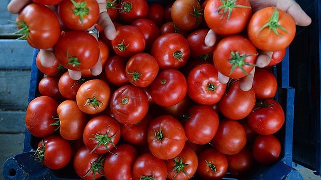 Pazar ve markette kaç TL'den satılıyor?