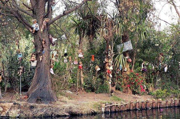 Meksika'da terk edilmiş bir adanın ağaçlarını, takıntılı bir babanın oyucak bebek koleksiyonu süslüyor!
