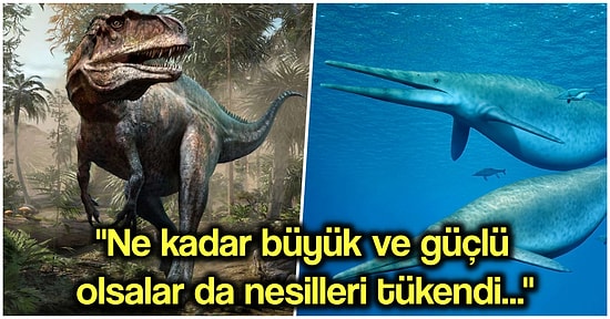 Geçmişten Günümüze Bütün Topraklara ve Denizlere Hükmeden Birbirinden Büyük Canlılar