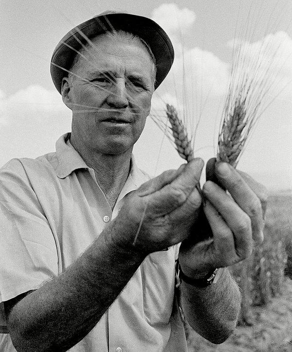 15. Norman Borlaug
