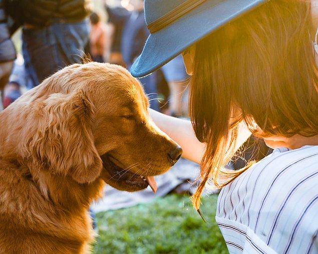 26. Une étude montre que les chiens sont un groupe d'animaux qui font volontiers preuve de gentillesse envers les autres.