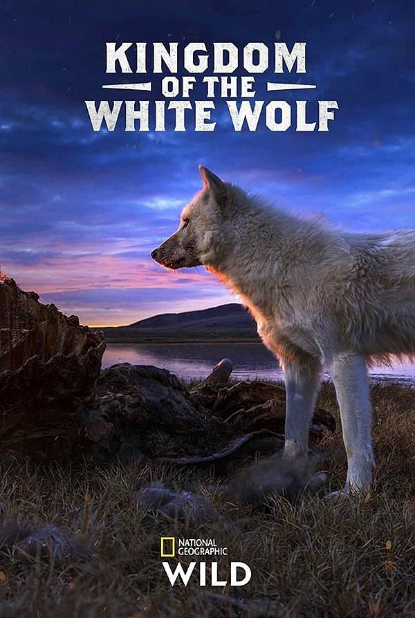 6. Kingdom Of The White Wolf - IMDb: 8.1