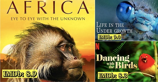 Dünyayı Başka Bir Gözle Göreceksiniz: Hayvanlarla İlgili En İyi Belgeseller