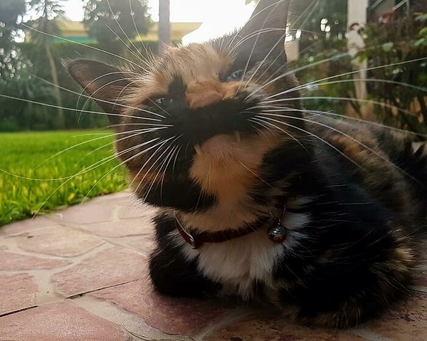 3. Улыыыбочку!