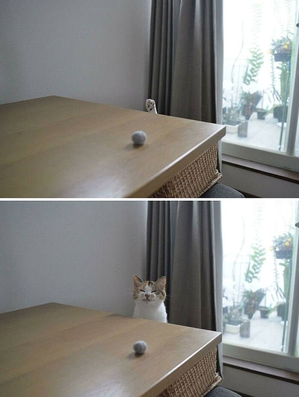 8. Очнулся. Улыбнулся)