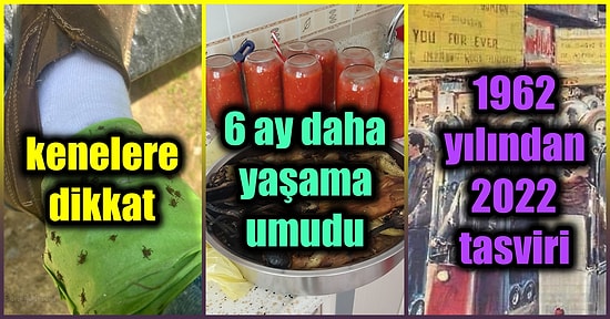 Gezegenimizin Dört Bir Yanından Okuduğunuzda Kafanızın İçerisinde Yanmış Bir Fener Etkisi Gösterecek 19 Tweet