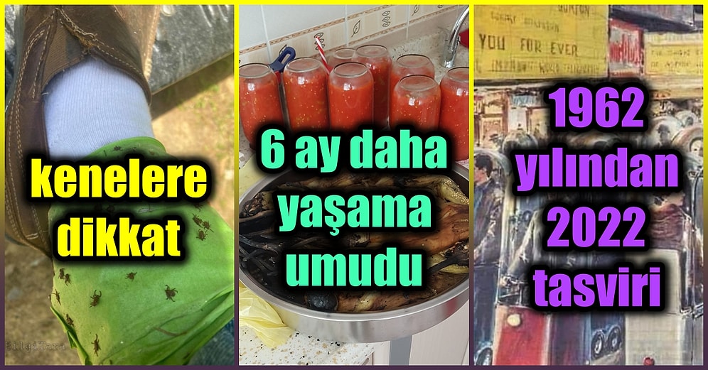 Gezegenimizin Dört Bir Yanından Okuduğunuzda Kafanızın İçerisinde Yanmış Bir Fener Etkisi Gösterecek 19 Tweet