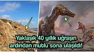 Yapılan Kazılar Sonucunda İngiltere'de Daha Önce Görülmemiş İki Tür Yeni Dinozor Keşfedildi!