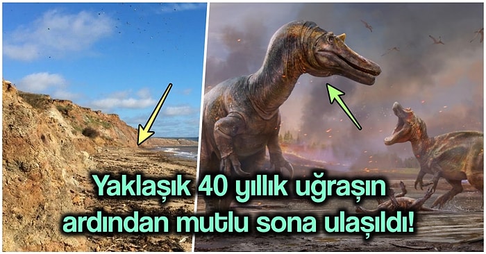 Yapılan Kazılar Sonucunda İngiltere'de Daha Önce Görülmemiş İki Tür Yeni Dinozor Keşfedildi!