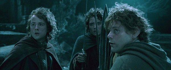48. The Lord of the Rings: The Fellowship of the Ring (2001)