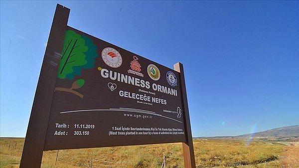 Hatta Çorum'da dikilen 303 bin 150 adet fidan, aynı bölgede bir saat içerisinde yapılan en büyük fidan dikme etkinliği olarak Guinness Rekorlar Kitabı'na girmişti.