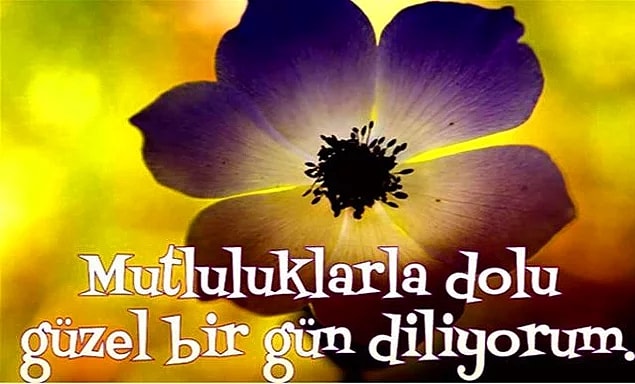 Günaydın Mesajları Resimli