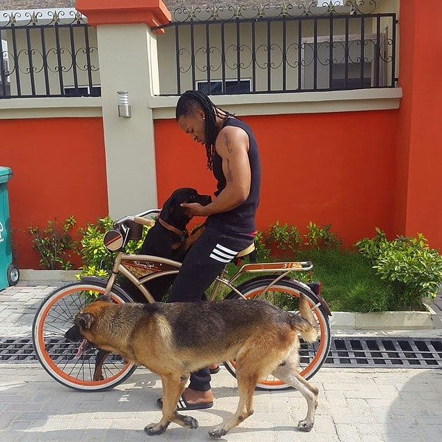 17. "Nijeryalılar evcil hayvan beslemeyi sevmez. Özellikle yabancıların evde köpek beslediğini görünce şaşırıyoruz, burada köpekler sadece av ya da koruma için kullanılır."