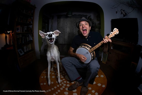10 лучших фотографий от финалистов конкурса Comedy Pet Photography Awards 2021, которые точно поднимут вам настроение