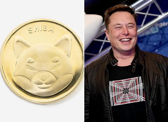 Elon Musk'ın Paylaşımı Sonrasında 'SHIB' Coin Yüzde 300'den Fazla Değer Kazandı