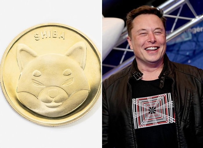 Elon Musk'ın Paylaşımı Sonrasında 'SHIB' Coin Yüzde 300'den Fazla Değer Kazandı