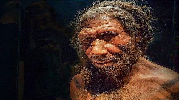 Bu bulgu, Orta ila Geç Pleistosen'de dördüncü bir hominin soy hattının varlığına dair kanıtlar bulan Avrupa ve batı Asya'daki Neandertal kalıntıları üzerine yapılan geçmiş çalışmalar için de önemlidir.