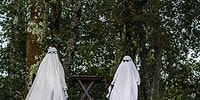 12 самых оригинальных декораций на Хэллоуин, которые мы когда-либо видели