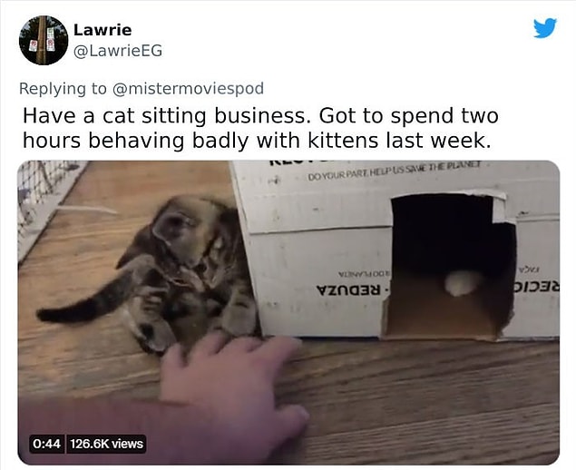 11. "Kedi bakıcısı olarak çalıştığım bir işim var. geçen hafta yavru kediler ile yaramazlık yaptığım iki saat geçirdim."