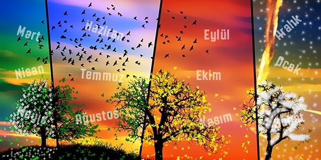 Ayların İsimleri Nereden Geliyor?