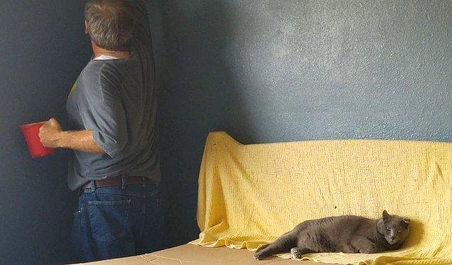 11. "Babam ve kedisi beraber odayı boyuyorlar. Fotoğrafı annem çekti."