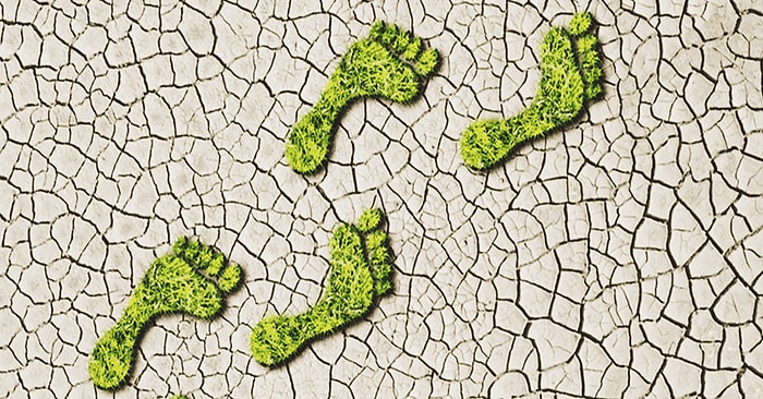 Sibel Erdem Yazio: Ne Kadar İz Bırakıyorsun?